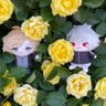 まりっぺ's profile picture