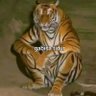 Kai♆ 🐼🍀 profil fotoğrafı