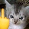 Profilbild von Ivixe