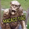 Profilbild von MACACO TIÃO