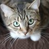 sophiamille's profile picture