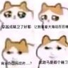 打不死的小全啊's profile picture