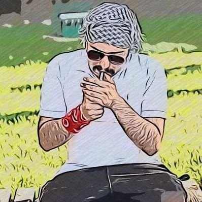 TrolTurkBey's profile picture
