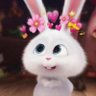 Double Choc's profile picture