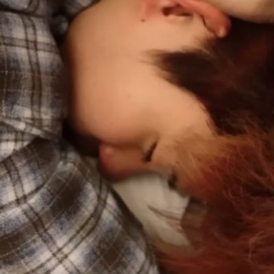 leesamoyed's profile picture