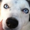 EUTHEOS TRIUMHANT's profile picture