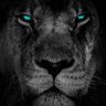 Motau's profile picture
