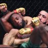 The MMA Flamingo's profile picture