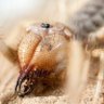 Фото профиля Alex Von Garten