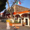 Perrito Poblano's profile picture