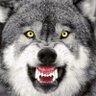 Profilbild von Wendehorn