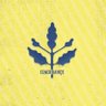 fenerbahçe bize bu yolda geri dönüş yok's profile picture