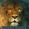 Profilbild von Marwan مروان