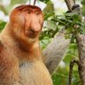 UkiCitizen profil fotoğrafı