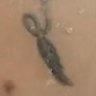 Profilbild von Cobra