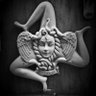 giuseppe's profile picture