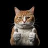 Profilbild von mas_bedjo