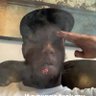 Backendheem's profile picture