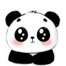 Panda profil fotoğrafı