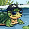Turtle's profile picture