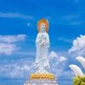 悟空心说 profil fotoğrafı
