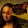 M Davis profil fotoğrafı