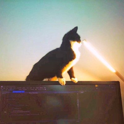 polymaster's profile picture