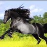 CryptoHunt189's profile picture