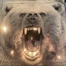 Profilbild von brite_bear