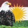 Kurd's profile picture