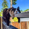 JtdKuguk profil fotoğrafı