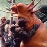 Фото профиля John Apocalypse Now