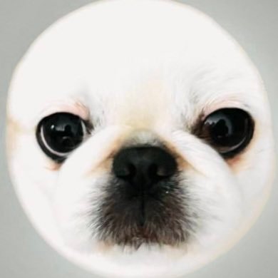 peki_pipi's profile picture
