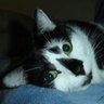 Delc17 🪐🐱🐿️🌸 的头像