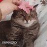 雲くも 的头像