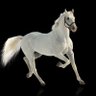 Khalid Al-Fahad's profile picture
