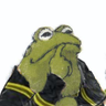 frog profil fotoğrafı