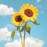 Summer🌻's profile picture