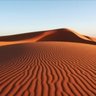 علي الماجد's profile picture