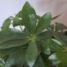 Фото профиля パト333