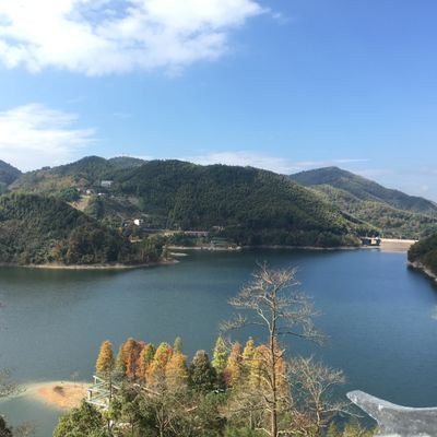 waljw158230's profile picture