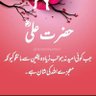 amir ali noor's profile picture