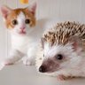 も&もちもな's profile picture