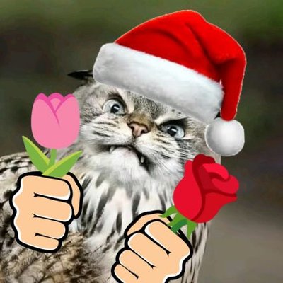 P'Moon (Real)'s profile picture