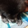 あっちゃん profil fotoğrafı