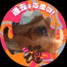 カラシナ 的头像