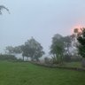 bin 的头像