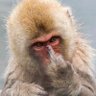 Maw of Recursion's profile picture