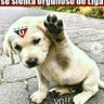 Teby profil fotoğrafı