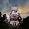 Dialise's profile picture